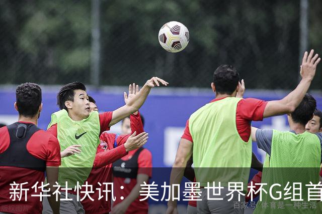 新华社快讯：美加墨世界杯G组首轮 伊朗队2:2平新西兰队